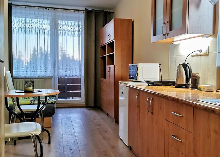 Novozrekonstruovany Apartman Pri Boroviciach